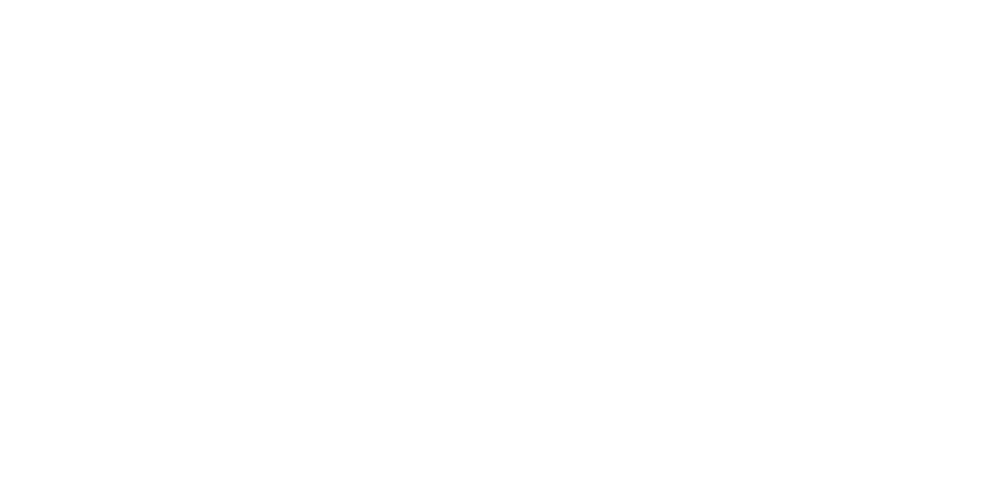 DLX Logo